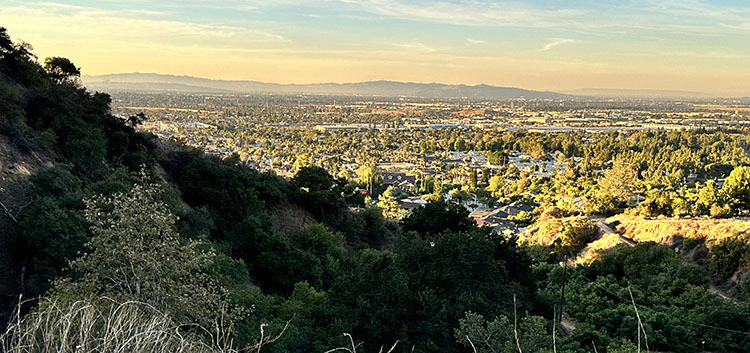 Embracing the Spring Season